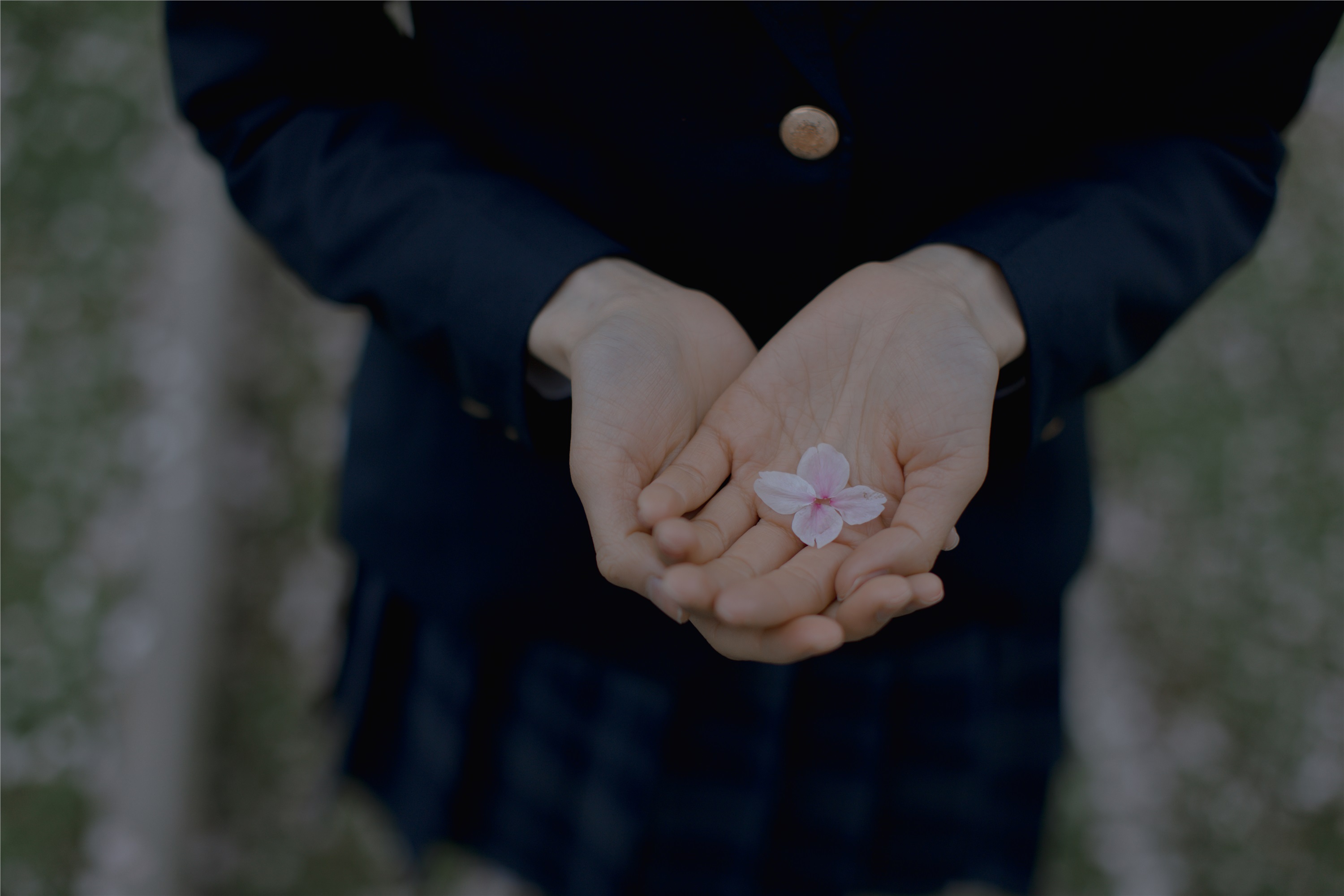 YITUYU艺图语 2021.09.02 樱花渐落 汤兮兮